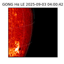 gong - 2025-09-03T04:00:42