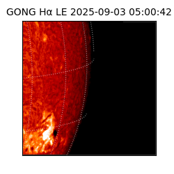 gong - 2025-09-03T05:00:42