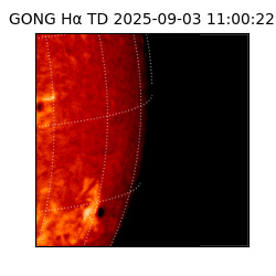 gong - 2025-09-03T11:00:22