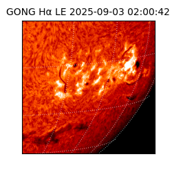 gong - 2025-09-03T02:00:42