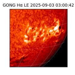gong - 2025-09-03T03:00:42