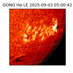 gong - 2025-09-03T05:00:42
