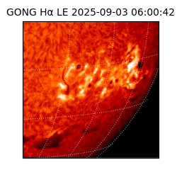 gong - 2025-09-03T06:00:42