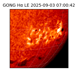 gong - 2025-09-03T07:00:42