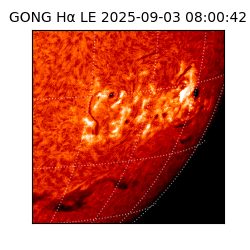 gong - 2025-09-03T08:00:42