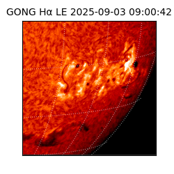 gong - 2025-09-03T09:00:42