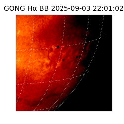 gong - 2025-09-03T22:01:02