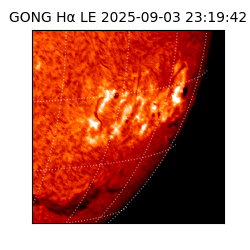 gong - 2025-09-03T23:19:42