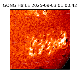 gong - 2025-09-03T01:00:42