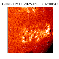 gong - 2025-09-03T02:00:42