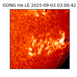 gong - 2025-09-03T03:00:42