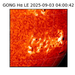 gong - 2025-09-03T04:00:42