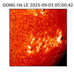 gong - 2025-09-03T05:00:42