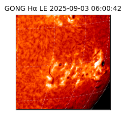 gong - 2025-09-03T06:00:42