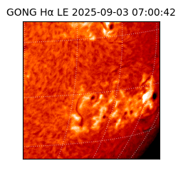 gong - 2025-09-03T07:00:42