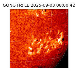 gong - 2025-09-03T08:00:42