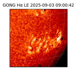 gong - 2025-09-03T09:00:42