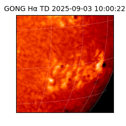 gong - 2025-09-03T10:00:22