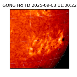 gong - 2025-09-03T11:00:22