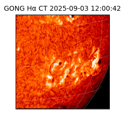 gong - 2025-09-03T12:00:42