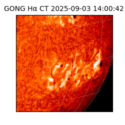 gong - 2025-09-03T14:00:42