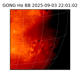 gong - 2025-09-03T22:01:02