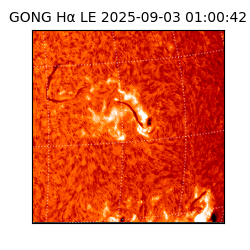 gong - 2025-09-03T01:00:42