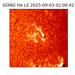 gong - 2025-09-03T02:00:42