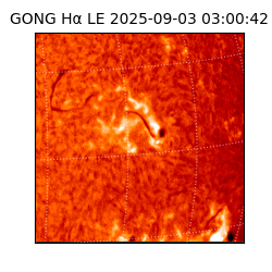 gong - 2025-09-03T03:00:42