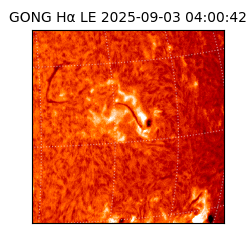 gong - 2025-09-03T04:00:42