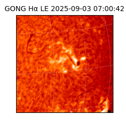 gong - 2025-09-03T07:00:42