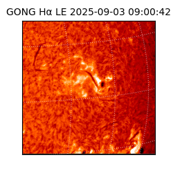 gong - 2025-09-03T09:00:42