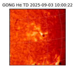 gong - 2025-09-03T10:00:22