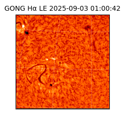 gong - 2025-09-03T01:00:42