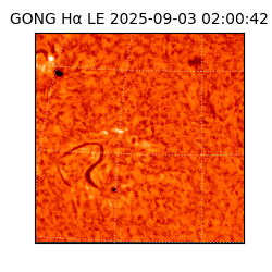 gong - 2025-09-03T02:00:42