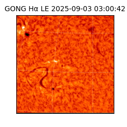 gong - 2025-09-03T03:00:42