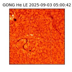 gong - 2025-09-03T05:00:42