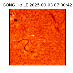 gong - 2025-09-03T07:00:42