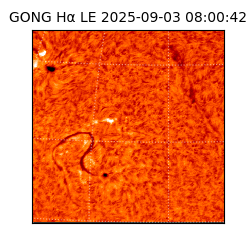 gong - 2025-09-03T08:00:42