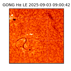 gong - 2025-09-03T09:00:42