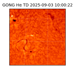 gong - 2025-09-03T10:00:22