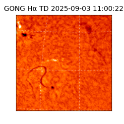 gong - 2025-09-03T11:00:22