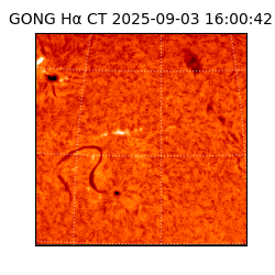 gong - 2025-09-03T16:00:42