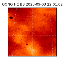 gong - 2025-09-03T22:01:02