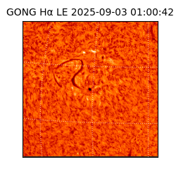 gong - 2025-09-03T01:00:42
