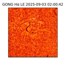 gong - 2025-09-03T02:00:42