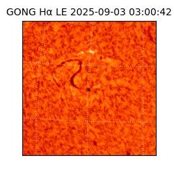 gong - 2025-09-03T03:00:42