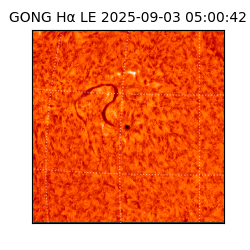 gong - 2025-09-03T05:00:42