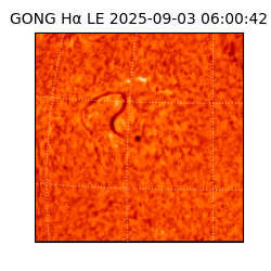 gong - 2025-09-03T06:00:42