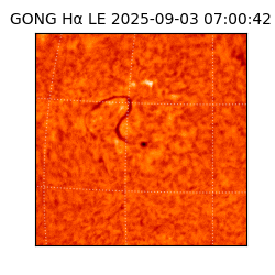gong - 2025-09-03T07:00:42